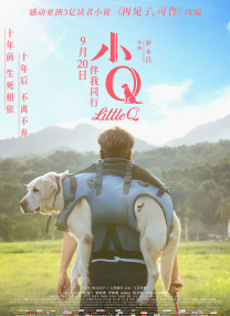 久久综合五月婷婷